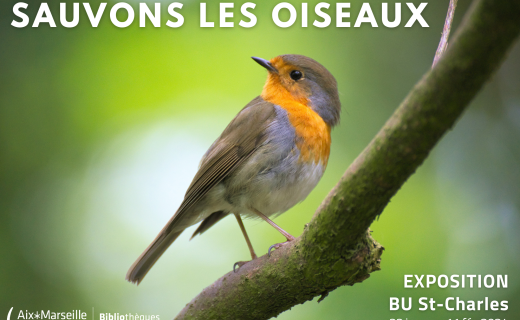 Oiseau